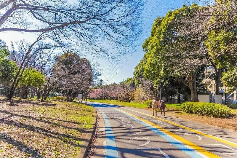 約41ヘクタールもの広大な敷地には競技場や体育館はもちろん、ジョギングコースにサイクリングコース、ドッグランまであり、人もペットも楽しめるスポットです。週末には様々なイベントも開催されますよ!