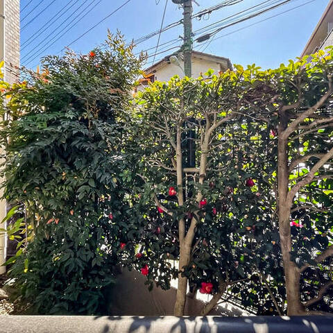 ライオンズマンション国分寺第6の室内写真