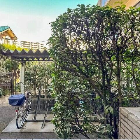 ロイヤルステージ井草の眺望・バルコニー写真