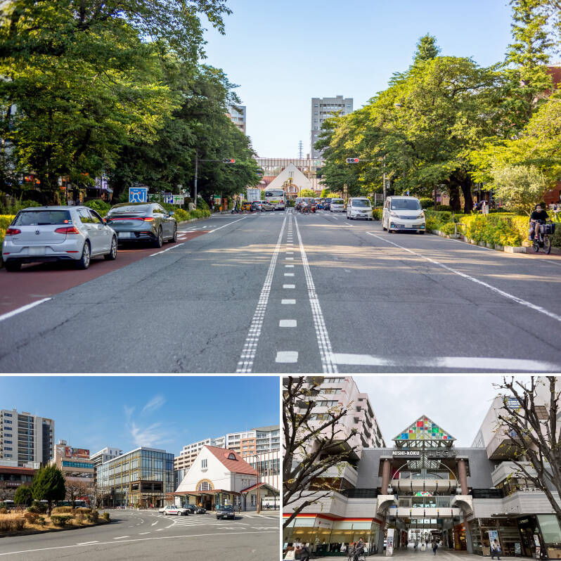 <p><b>上・</b>最寄りのひとつJR中央本線「国立」駅から、「一橋大学」のキャンパスへまっすぐと伸びる「大学通り」は、四季折々の美しい景色を楽しめます。「国立」は学園都市として街づくりが行われたため、区画が整然としていて、緑が多いのも特徴です。（徒歩13分）／<b>左下・</b>復元された三角屋根の旧駅舎がシンボルの「国立」駅。駅周辺にはお店が集まり、駅直結の「nonowa 国立」は飲食店や雑貨店が多数。ちょっとしたお買い物やランチに便利です。（徒歩20分）／<b>右下・</b>JR中央本線「西国分寺」駅前に建つ複合商業施設「西国分寺レガ」。スーパー、書店、クリニック、ジムなどが入り、日常の用事をまとめて済ませられます。（徒歩19分）</p>