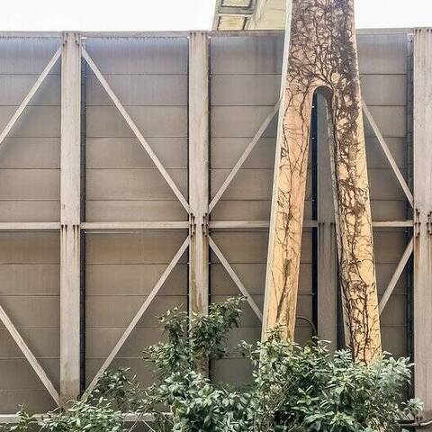 ライオンズマンション三ツ沢公園の室内写真