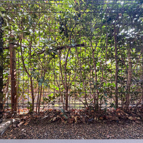 サンクタス宮崎台の室内写真