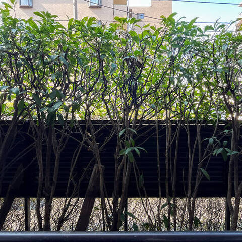 ユニオンパレス吉祥寺北1番館の室内写真