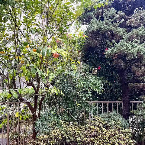 ライオンズガーデン石神井公園の室内写真