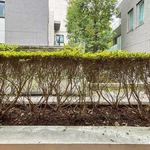 イトーピア長者丸IDEAの室内写真