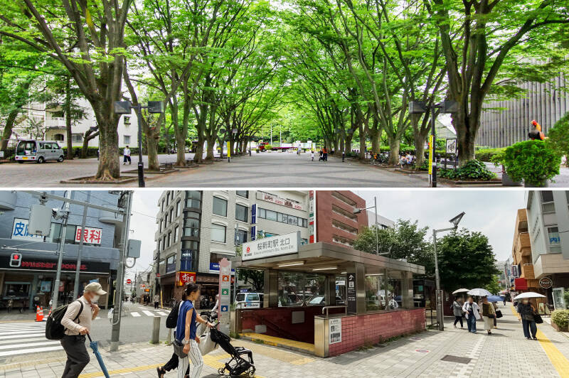 今回ご紹介する住戸は、東急田園都市線「桜新町」駅から徒歩10分。緑豊かな「JRA馬事公苑」までは徒歩8分の距離にあります。