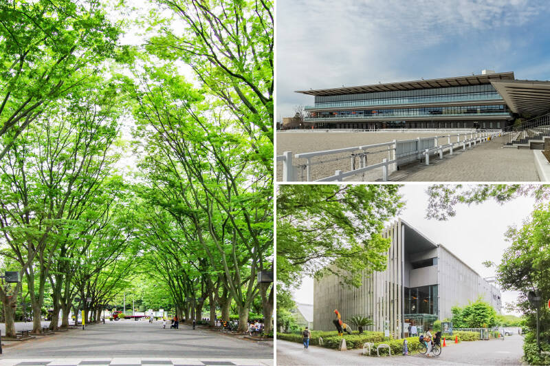 「馬事公苑」はその名の通り馬術のための施設が充実していて、馬の訓練や運動の様子を見ることができます。2020年の東京オリンピック馬術競技の会場として全面リニューアルされ、市民の憩いの場としてもより利用しやすくなりました。また、馬事公苑のそばには、東京農業大学が運営する一般向け施設「食と農の博物館」もあり、農にまつわるさまざまな展示が行われています。お子さまから大人まで楽しめるスポットです。