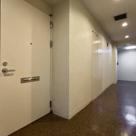 南青山パークマンションの建物・共用部写真