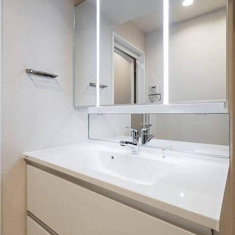 ライオンズマンション柿の木坂の室内写真