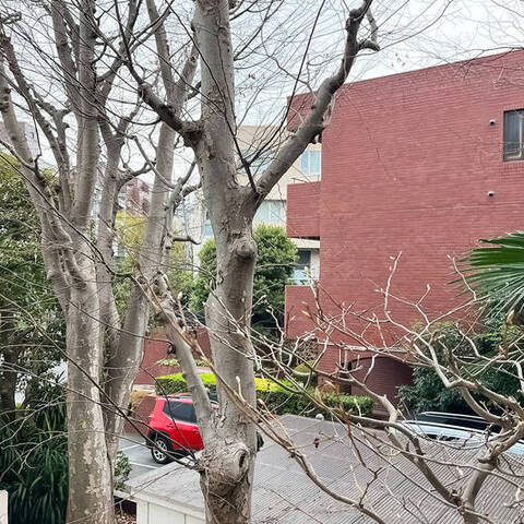 サンビューハイツ南青山の室内写真