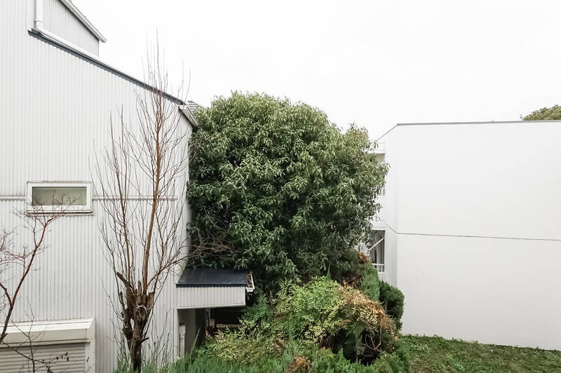 続いてこちらはLDK〜洋室Cにまたがる、北西側のバルコニー。こちらも敷地内と隣地の植栽がのどかな雰囲気。新緑の季節には更に緑に溢れそうですね。