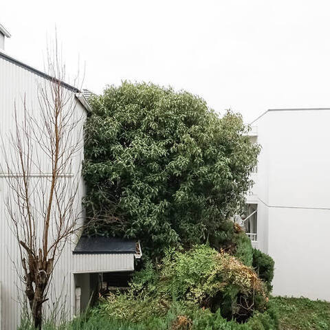 ヒルトップ菊名の眺望・バルコニー写真