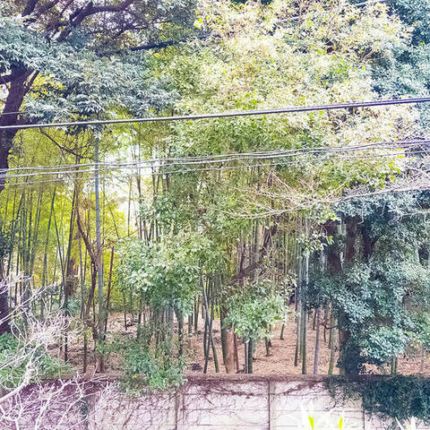 エクレールガーデン深沢の室内写真