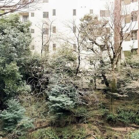 トーア駒込マンションの室内写真