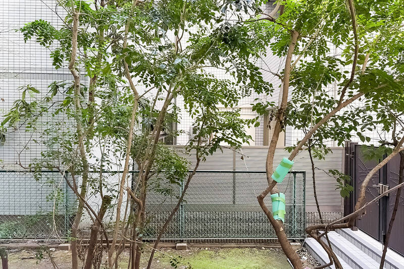 お庭の木々越しに隣のマンションの外壁が。こちら向きの窓がないため、窓を開け放っても人目が気になることはなさそうです。