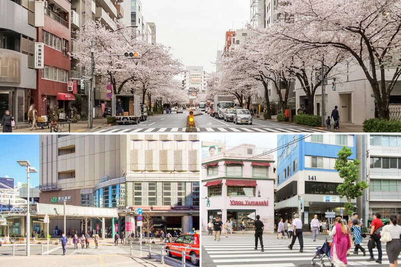 <b>上・</b>桜並木が続く明治通り沿い、「恵比寿」駅と「広尾」駅の間に建つマンション。どちらの駅からも桜のトンネルをくぐるように歩いて帰れます。毎年、桜の季節が待ち遠しくなりそう〜！／<b>左下・</b>最寄りの、JR各線と東京メトロ日比谷線「恵比寿」まで徒歩7分。駅と直結している「アトレ恵比寿」には、各種専門店のほかにスーパー「成城石井 アトレ恵比寿店」も入っています。23時まで営業しているので、お出かけ帰りのお買い物に便利ですね。／<b>右下・</b>東京メトロ日比谷線「広尾」駅までも徒歩10分と2駅を使い分けることができます。広尾周辺は、国際色豊かでまわりには大使館が多く建っています。
