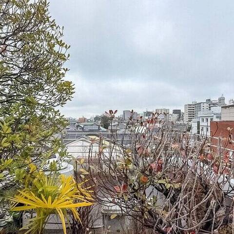 ヴェスタ荻窪の眺望・バルコニー写真