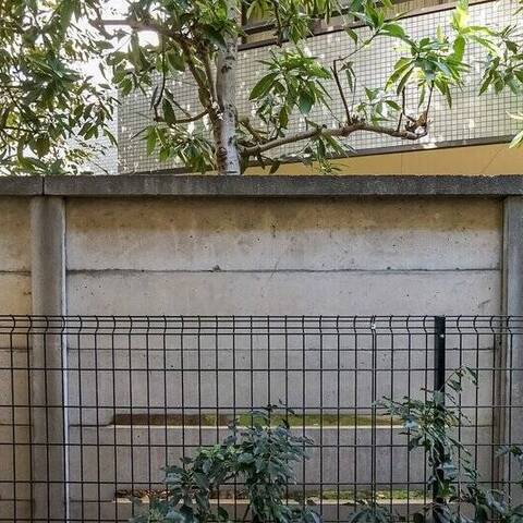 リムテラス旗の台六丁目の眺望・バルコニー写真