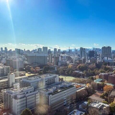 ルネッサンスタワー上野池之端の眺望・バルコニー写真