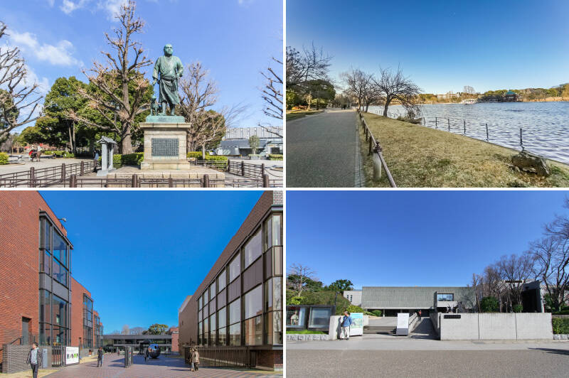 マンションから徒歩2分のところにある「上野恩賜公園」。「上野」駅近くの入り口では、西郷隆盛像がお出迎えしてくれます。敷地内には「東京都美術館」（徒歩13分）や「国立西洋美術館」（徒歩14分）、「恩賜上野動物園」（徒歩12分）といった文化施設が点在し、一日中過ごしても飽きることがありません。また「不忍池」の周辺は、愛犬との散歩や朝のランニングにおすすめのロケーションですよ。