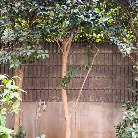 クレッセント西馬込の室内写真