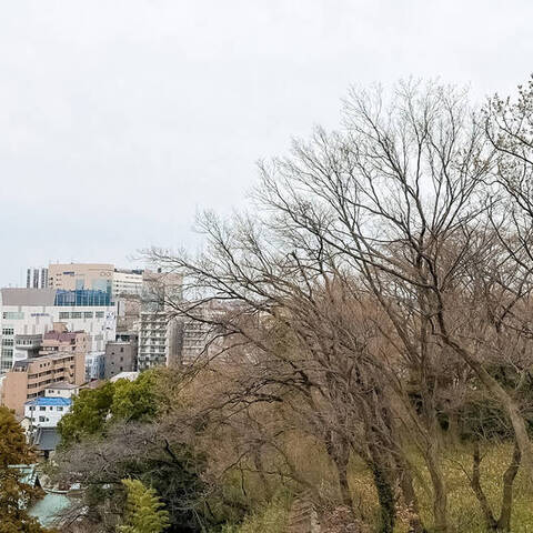 アルス溝口ヒルトップステージの室内写真