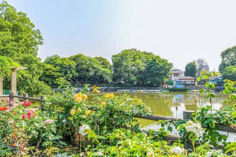 今回ご紹介する物件は、最寄りの東急東横線「学芸大学」駅から徒歩9分。豊かな緑と池が広がる「碑文谷公園」(徒歩8分)にもほど近い、穏やかなエリアです。