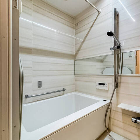 オリンポス板橋栄町の室内写真