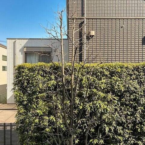 ディアナコート上原の眺望・バルコニー写真