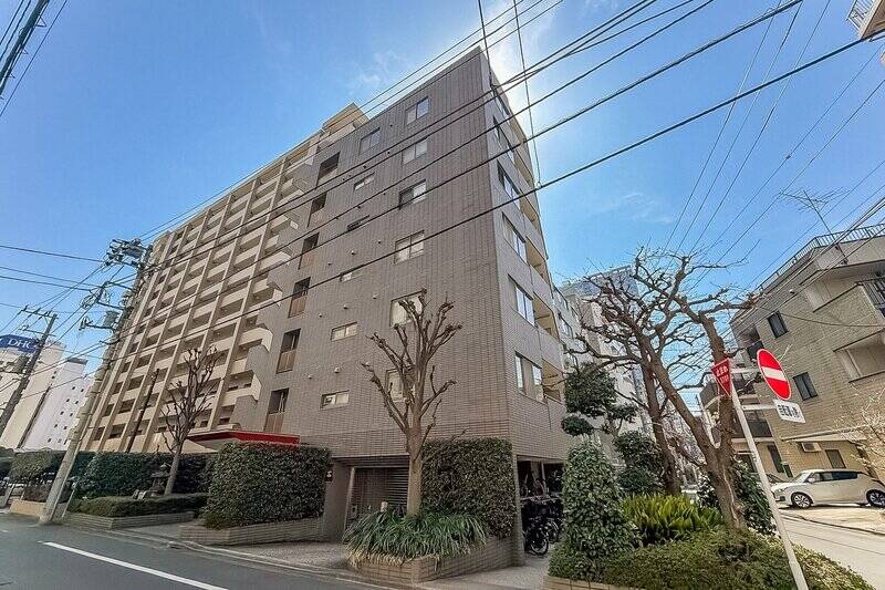 三井不動産が分譲し、2026年現在も三井不動産系列の管理会社が入っています。1995年築で全30戸。2021年に大規模修繕工事を終えています。ペットの飼育に関しては、事前に管理会社への申し出が必要とのことです。