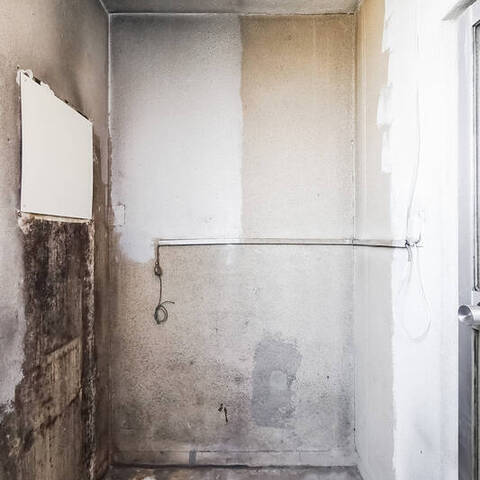 宮前平グリーンハイツ36号棟の眺望・バルコニー写真