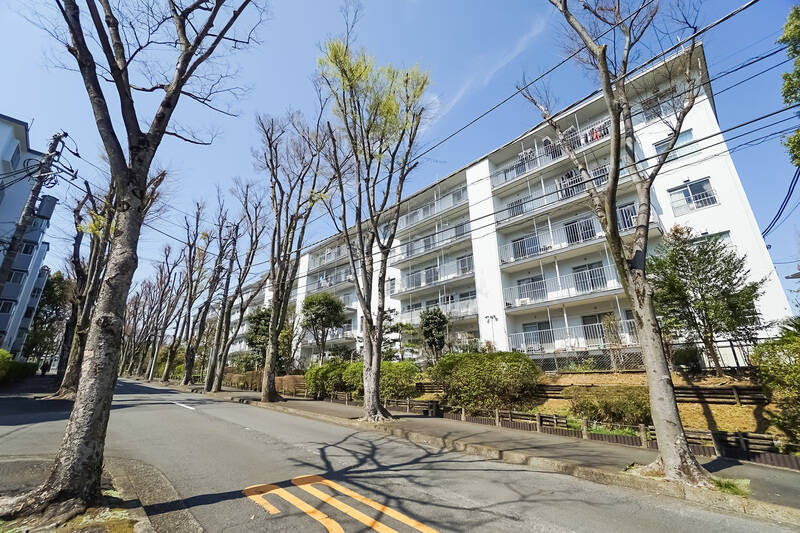 約8.6万㎡もの広大な敷地に、マンション全55棟が建ち並んでいます。総戸数は、なんと1023戸! 敷地内には公園や共用施設があり、まるで小さな町のようです。ご紹介した住戸は、こちらの1972年竣工・地上5階建ての棟に所在しています。