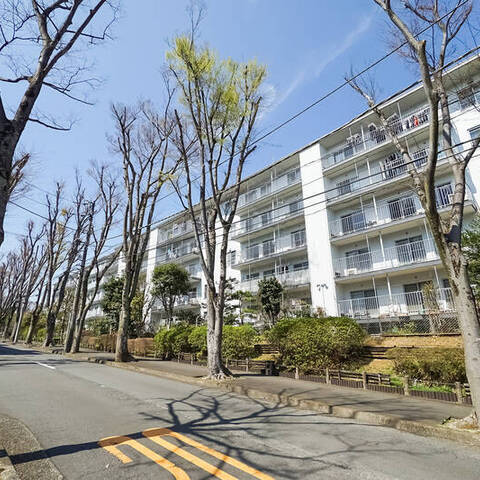 宮前平グリーンハイツ36号棟の建物・共用部写真