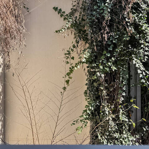 シエル千歳烏山の室内写真