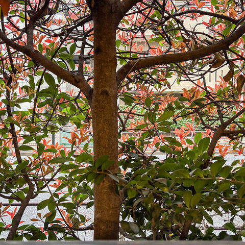 ベルジュール三鷹の室内写真