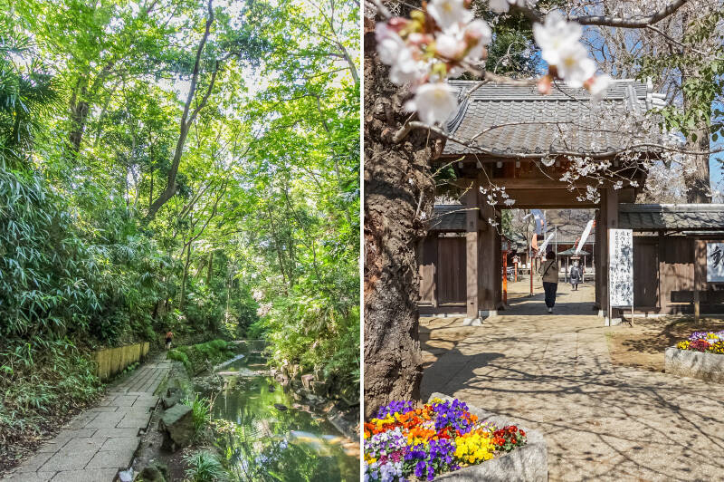 <b>左・</b>この街の気持ちよさを物語っているのは、何と言っても「等々力渓谷」の存在。散策してみると都会とは思えない静謐な空気に包まれます。23区内で唯一の渓谷であり、パワースポットとも言われている「等々力渓谷」。「等々力」駅からのルートはこちらの渓谷を抜けて歩くこともできます。（徒歩6分）／<b>右・</b>渓谷に隣接する「等々力不動尊」は、春の桜もきれい！ 取材日にはちょうど開花がはじまったタイミングでした♡（徒歩7分）