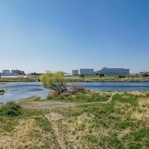 東急ドエルアルス等々力の眺望・バルコニー写真