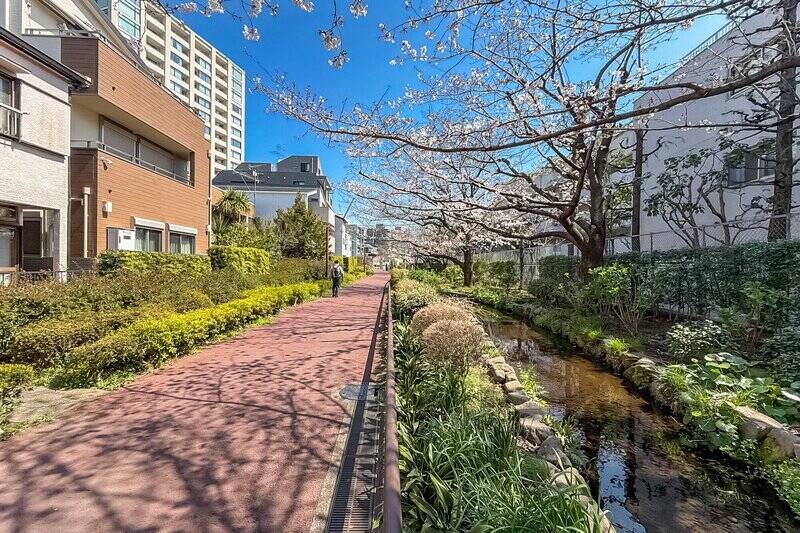 こちらはマンション目の前を通る「目黒川緑道」の様子(徒歩1分)。せせらぎ沿いの植物たちは地元ボランティアの方々によって大切に育まれており、四季折々の豊かな表情を見せてくれます。取材に訪れた2026年3月24日、桜は三分咲きといったところ。ここをまっすぐ歩けば最寄りの「池尻大橋」駅に到着です(住宅街の中を歩くコースは徒歩6分、緑道沿いのコースは徒歩9分)。