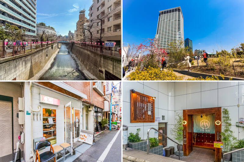 <b>左上・</b>「目黒川」沿いの桜並木もこれからが見頃。(徒歩9分)/<b>右上・</b>首都高速の池尻ジャンクション上空には「目黒天空庭園」が。登録制で犬のお散歩も可能です!(徒歩10分)/<b>左下・</b>「TOLO PAN TOKYO」は行列のできる人気ベーカリー。筆者はここでパンを買ってから目黒天空庭園に行くのがお決まり。(徒歩8分)/<b>右下・</b>サウナーから絶大な支持を集める銭湯「文化浴泉」。湯上りに涼みながら緑道沿いを歩いて帰る……なんて理想的なコースでしょう!(徒歩10分)