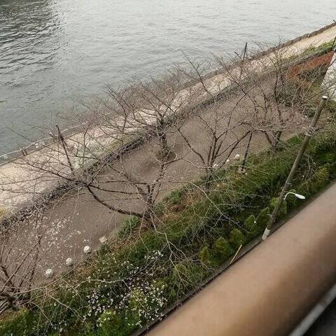 ニックハイム茅場町の眺望・バルコニー写真