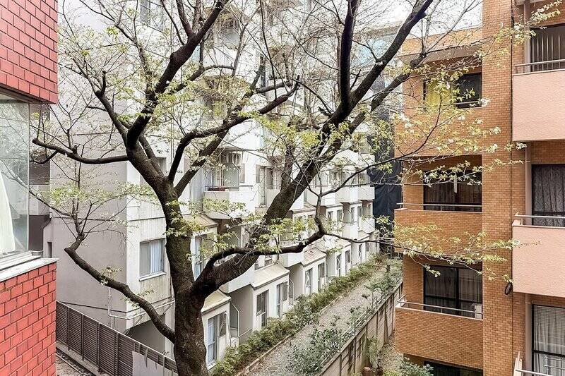 正面には桜の木が。穏やかな眺望が広がります。