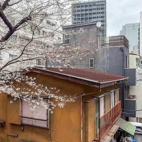 チュリス氷川坂の眺望・バルコニー写真