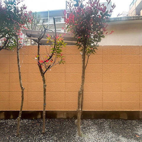 ライオンズマンション西ケ丘第2の室内写真