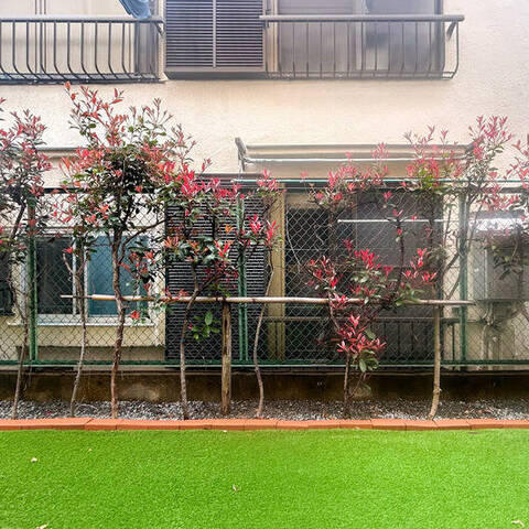 ライオンズマンション西ケ丘第2の室内写真