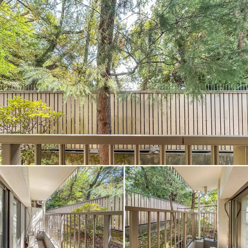 目の前に広がる緑が爽やかで気持ちいい！ 正面は「日本銀行氷川分館」が隣接していますが、高さのある仕切りがあり視線は気になりません。