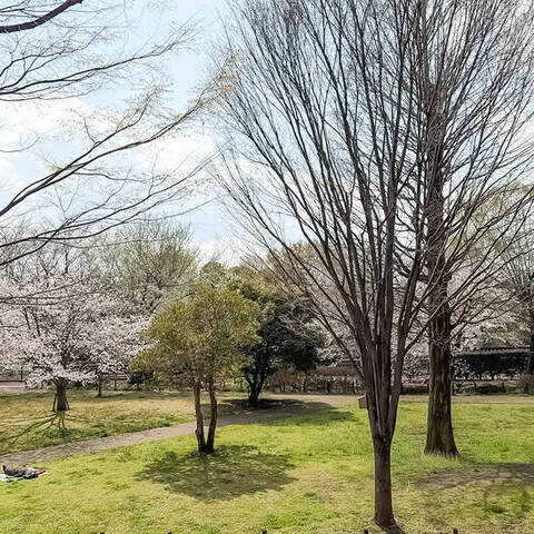 パークシティ成城(A〜Hコート)の室内写真