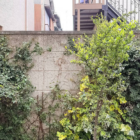 エンゼルハイム鵜の木の室内写真