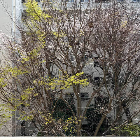 ドルフ青葉台の室内写真