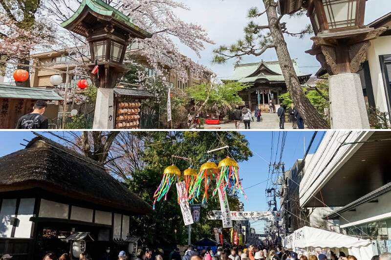 <b>上・</b>「桜新町」の駅前通りに佇む「桜神宮」。春になると境内にある桜の木は濃いピンクの花を咲かせ、縁結びを祈願した無数のリボンで彩られます。（徒歩10分）／<b>下・</b>毎年12、1月の15、16日に開催される「世田谷ボロ市」。このエリアの風物詩となっています。（通称 “ボロ市通り” まで徒歩7分）