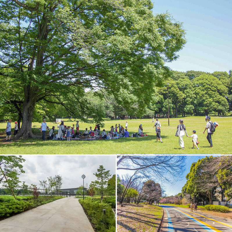 <b>上・</b>「砧公園」は広い芝生広場があり、お子さまとピクニックするのにぴったりなスポット。遊具も充実しています。（徒歩30分、自転車で約10分）／<b>左下・</b>「JRA馬事公苑」は闊歩する馬を眺めながらのんびりできるスペシャルな場所。（徒歩15分）／<b>右下・</b>「駒沢オリンピック公園」は運動したい時におすすめです。（徒歩22分）